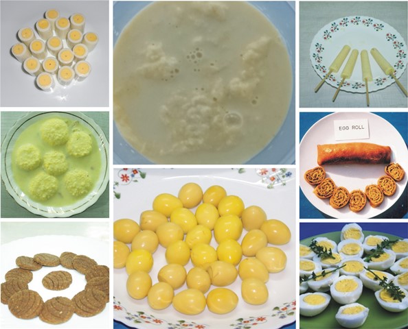 Egg Products
