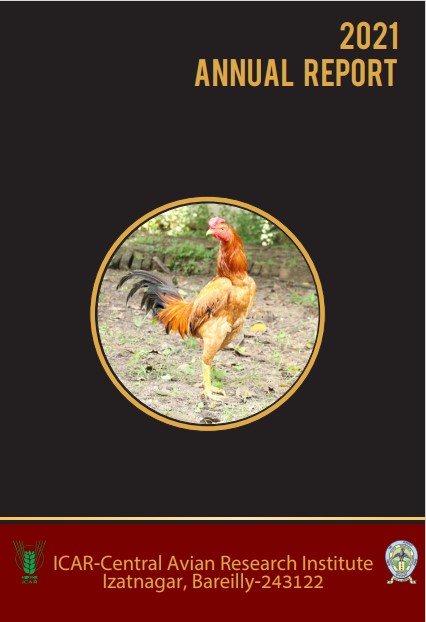Annual Report 2021