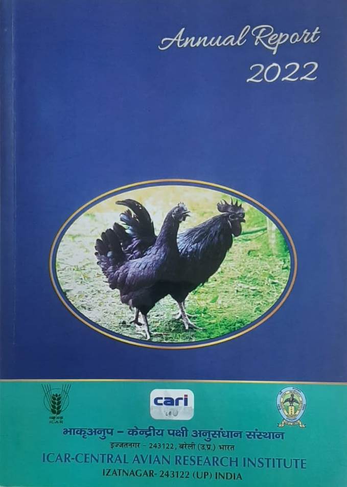 Annual Report 2022