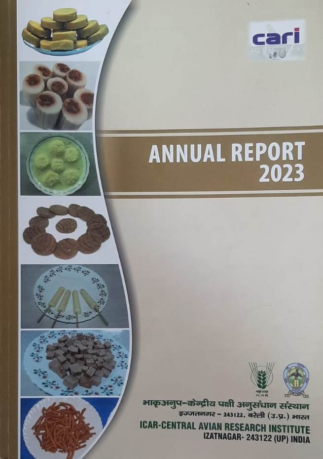 Annual Report 2023