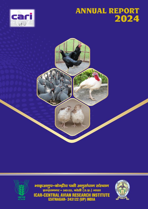 Annual Report 2024