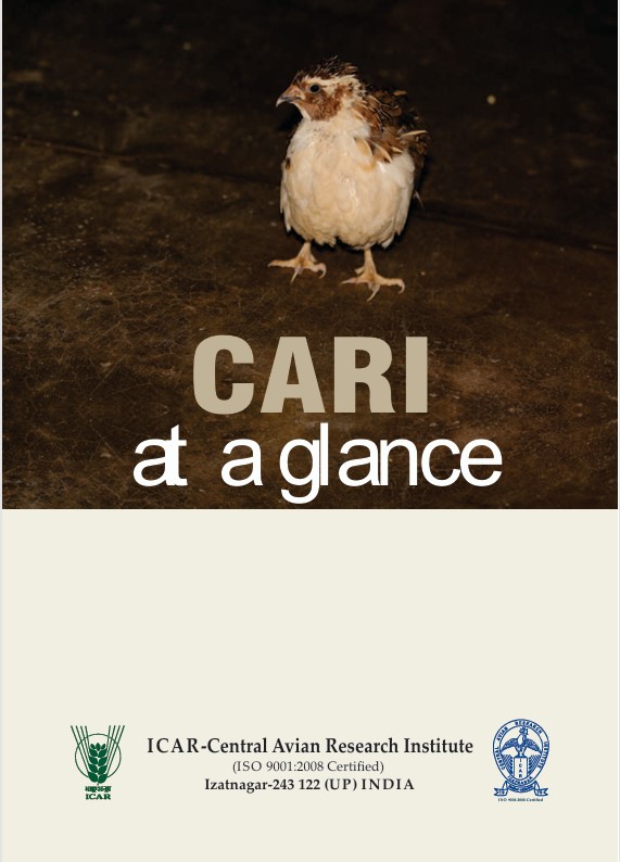 CARI at a Glance